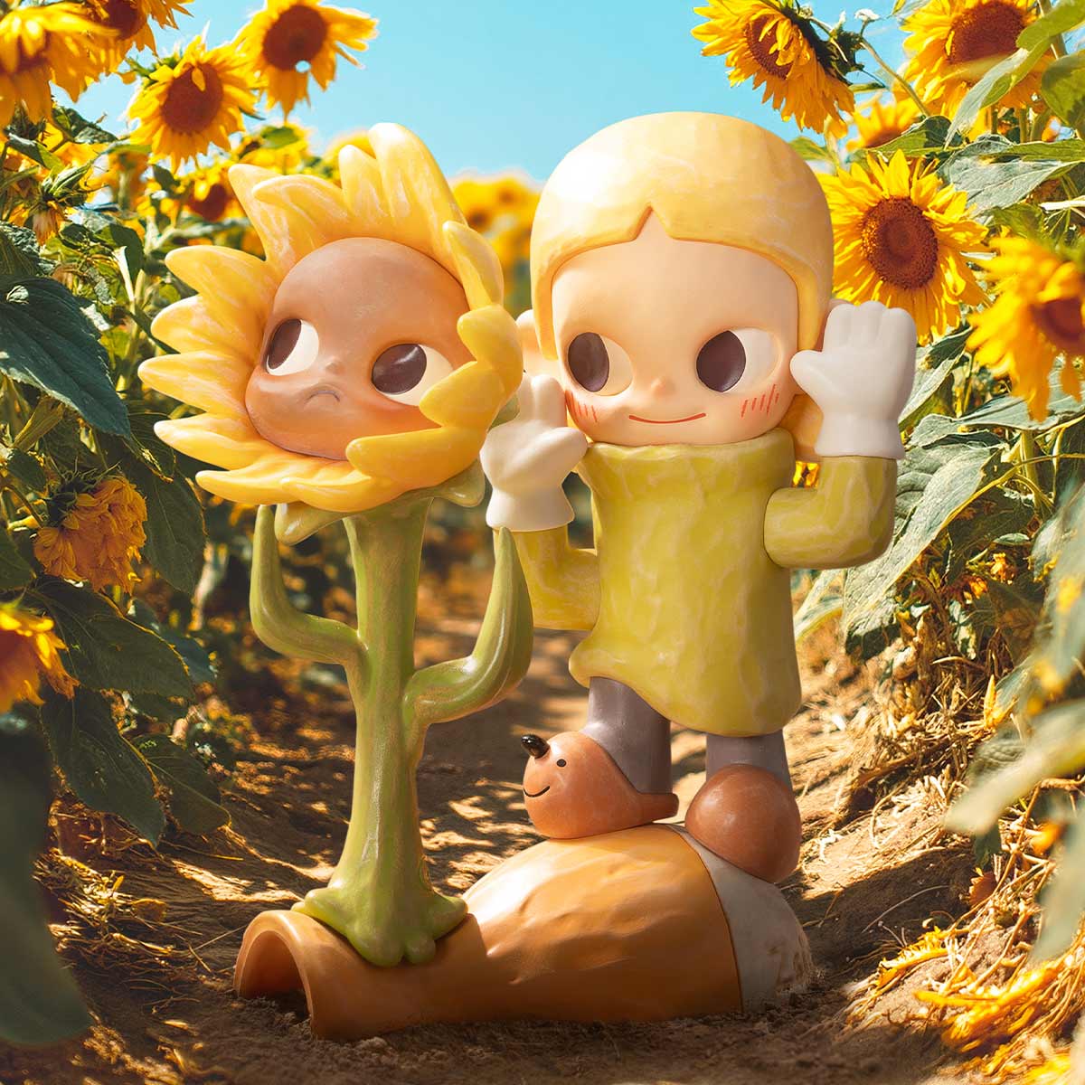 Sunflower